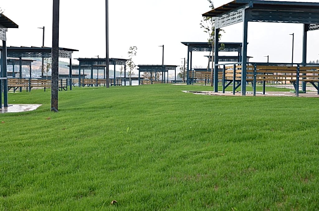 Hydroseeding Sonuç